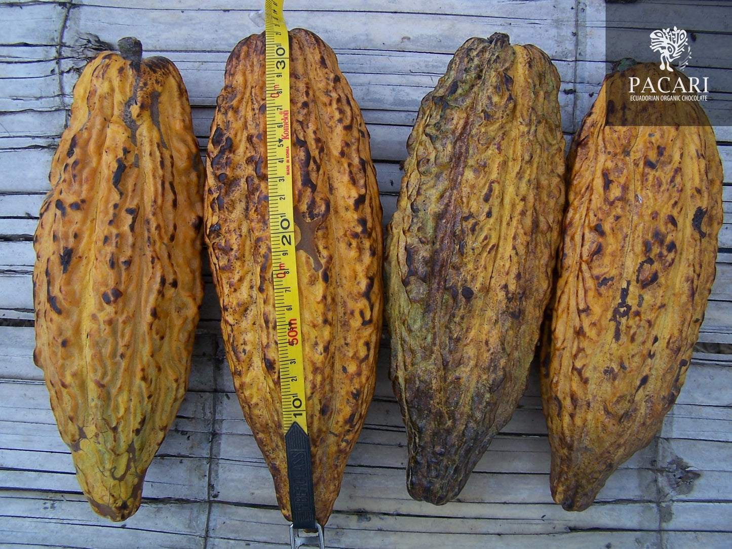 What's so important about Chocolate being organic?