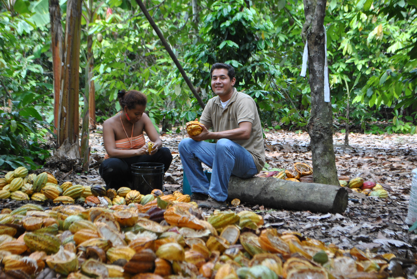 Going Beyond the Fairtrade Certification