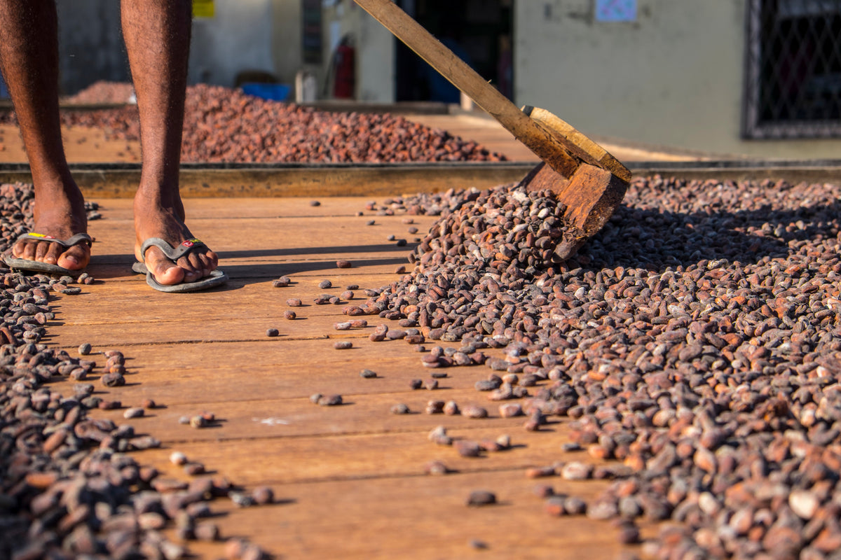 The Ethical Chocolate Paradox