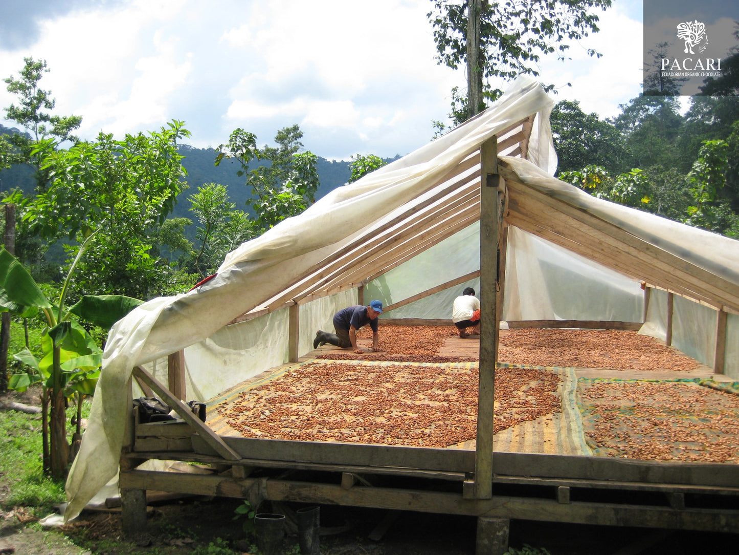 The Ethics of Chocolate