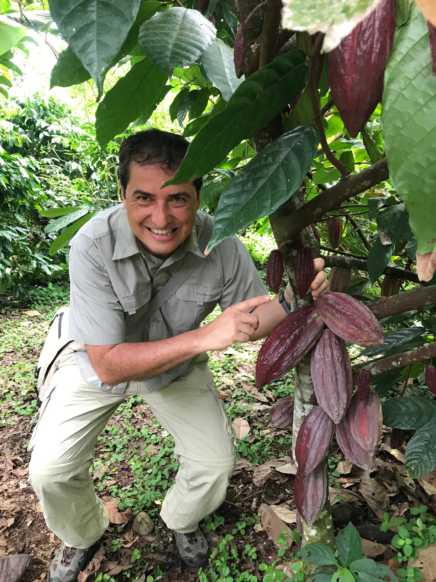 Opinion: "Fairtrade has failed to deliver justice for farmers"