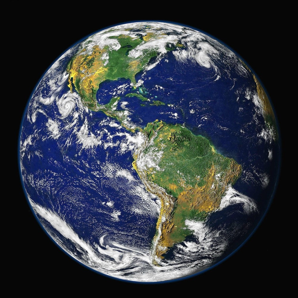 12 steps we are taking to be Net Zero (letter from the Director)