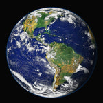 12 steps we are taking to be Net Zero (letter from the Director)